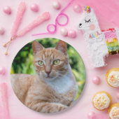 スウィートリトル子猫 ペーパープレート (パーティー)