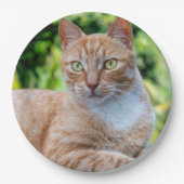 スウィートリトル子猫 ペーパープレート (正面)