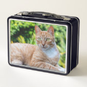 スウィートリトル子猫 メタルランチボックス (裏面)