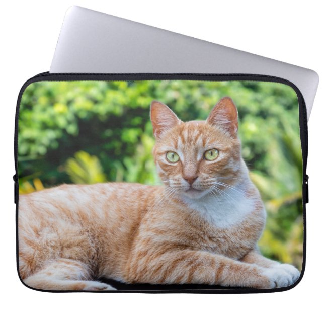 スウィートリトル子猫 ラップトップスリーブ (正面)