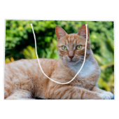 スウィートリトル子猫 ラージペーパーバッグ (裏面)