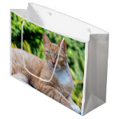 スウィートリトル子猫 ラージペーパーバッグ (正面アングル)