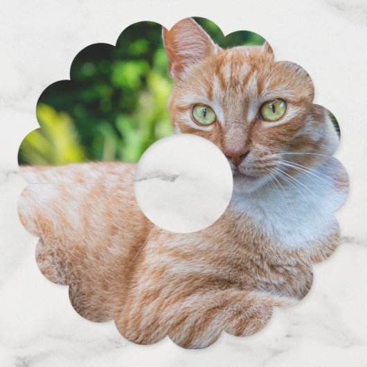 スウィートリトル子猫 ワイングラスタグ (裏面)