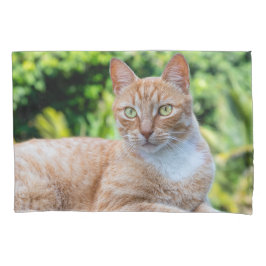 スウィートリトル子猫 枕カバー