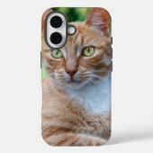 スウィートリトル子猫 Case-Mate iPhoneケース (裏面)