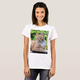 スウィートリトル子猫 Tシャツ