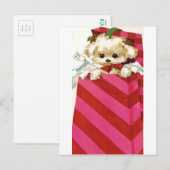 スウィートヴィンテージクリスマスパピービコンラサマルチーズ シーズンポストカード (正面/裏面)