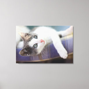スウィート子猫インプレイドベッド キャンバスプリント