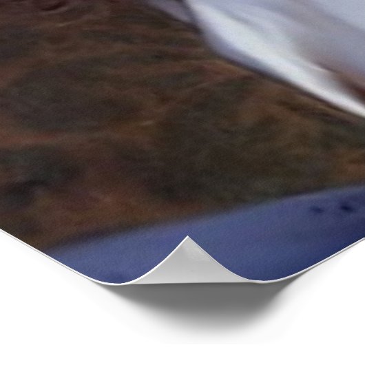 スウィート小さな女の子と彼女の子猫 ポスター (角)