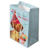 スウィート誕生日ビズラミディアム抱き枕 ミディアムペーパーバッグ (正面アングル)