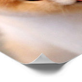 スウィート魅力的ポメラニア犬ユニーク ポスター (角)