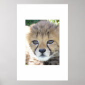 スウィート11月 ポスター (正面)