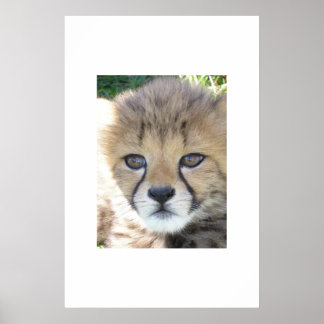 スウィート11月 ポスター