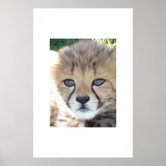 スウィート11月 ポスター (正面)