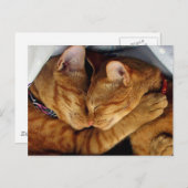 スウィート・ドリームス ポストカード (正面/裏面)