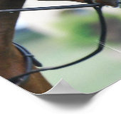 スウィート・モーガン・ホース・ポスター ポスター (角)