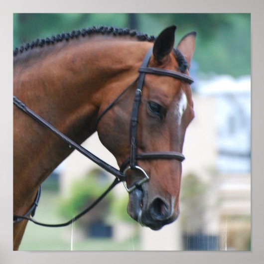 スウィート・モーガン・ホース・ポスター ポスター (正面)