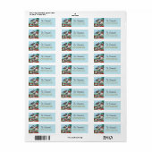 スウィート《鳥》アメリカゴガラ絵画ズ ラベル (フルシート)