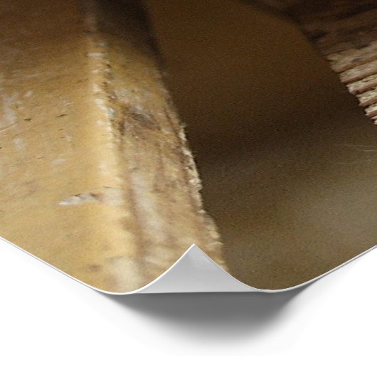 スウィートtomcat子猫 ポスター (角)