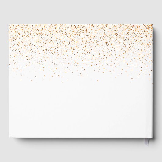 スウィール16白金ゴールド紙吹雪散布機 ゲストブック (裏面)