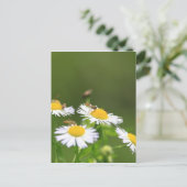 スウェットビー ポストカード (スタンド正面)