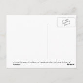 スウェットビー ポストカード (裏面)