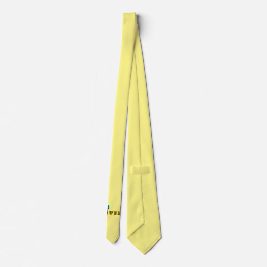 スウェモダンーデンのアートレターマップ国旗の土産 ネクタイ (裏面)