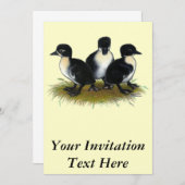 スウェーデンのアヒル類 招待状 (正面/裏面)