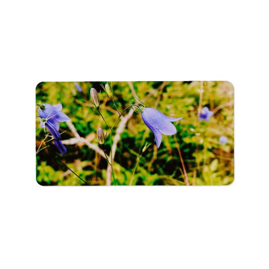 スウェーデンのブルーベル ラベル (正面)