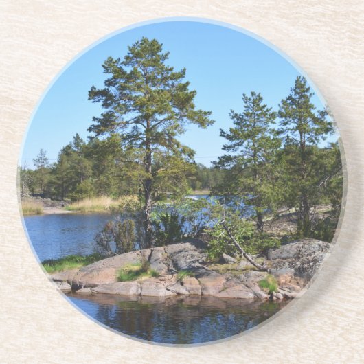 スウェーデンのランドスカ コースター (正面)