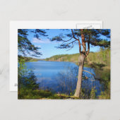 スウェーデンのランドスケープポストカード ポストカード (正面/裏面)