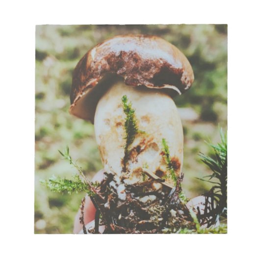 スウェーデンの森のポルチーニ ノートパッド (正面)