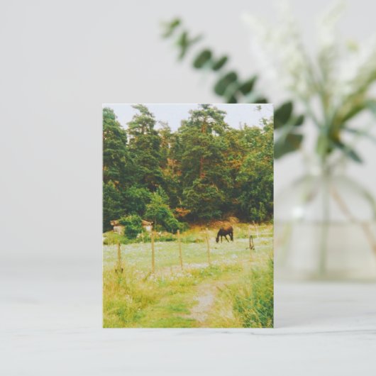 スウェーデンの田舎 ポストカード (スタンド正面)