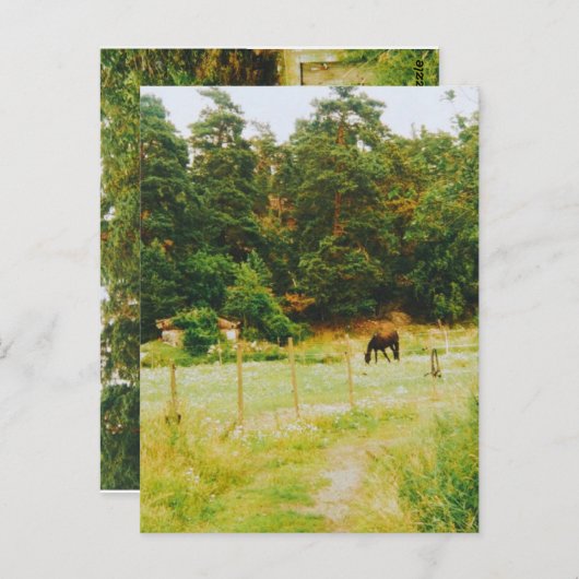スウェーデンの田舎 ポストカード (正面/裏面)