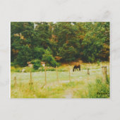 スウェーデンの田舎 ポストカード (裏面)