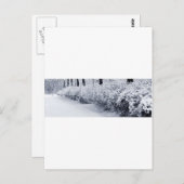 スウェーデンの雪 ポストカード (正面/裏面)