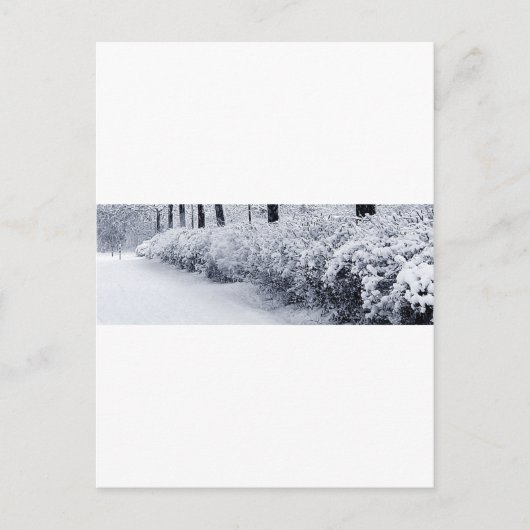 スウェーデンの雪 ポストカード (正面)