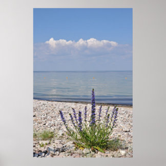 スウェーデンサマープリント ポスター