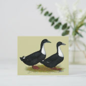 スウェーデンダックズブラック ポストカード (スタンド正面)