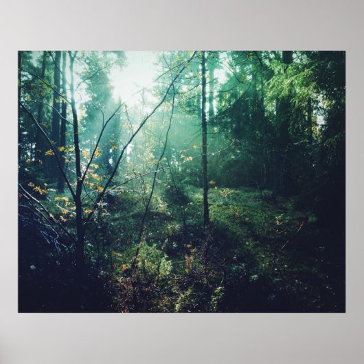 スウェーデンフォレスト ポスター (正面)