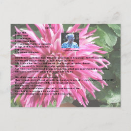 スウェーデンラックスレシピはがき ポストカード