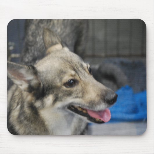スウェーデン人のVallhundのマウスパッド マウスパッド (正面)