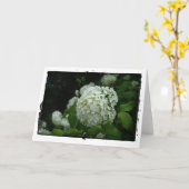 スウェーデン公園 カード (黄色い花)