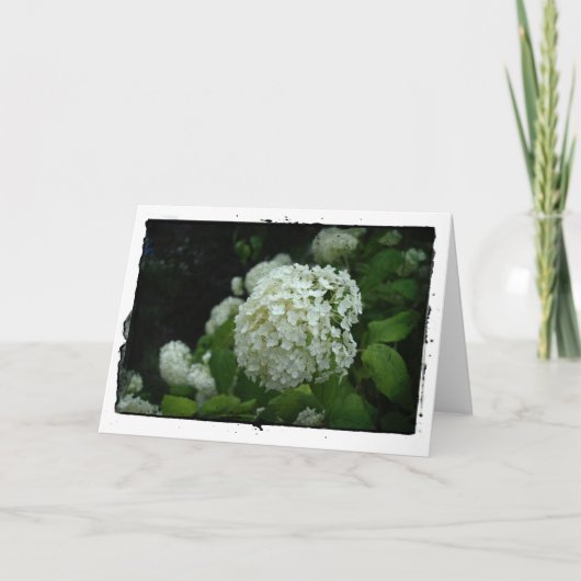 スウェーデン公園 カード (正面)