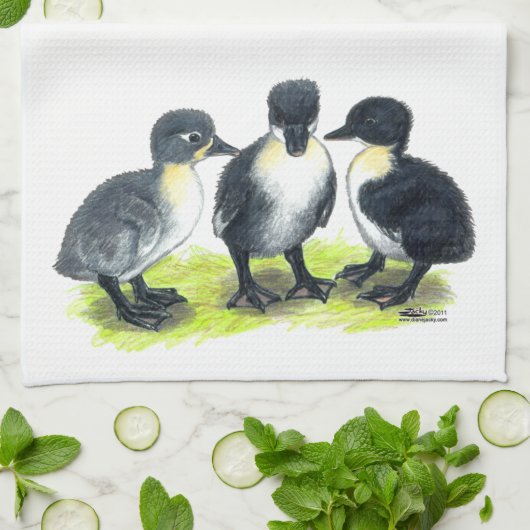 スウェーデン産の青いアヒル キッチンタオル (折り畳み)