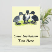 スウェーデン産の青いアヒル 招待状 (スタンド正面)