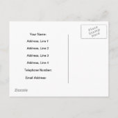 スウェーデン語の新しいアドレス案内はがき 案内ポストカード (裏面)