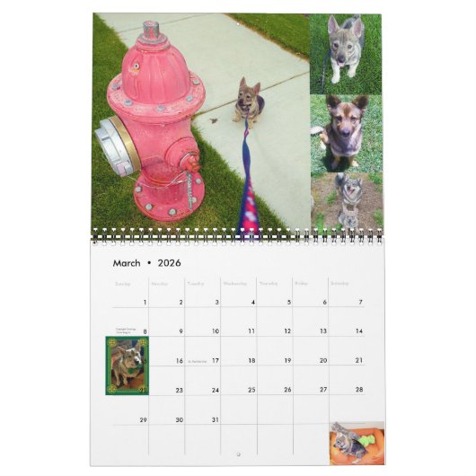 スウェーデン語バルフンド暦2024* カレンダー (3月 2026)