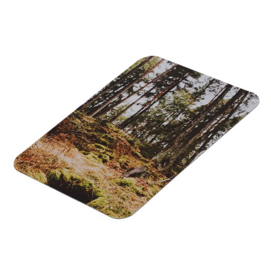 スウェーデン諸島のフェアヤル語の森 マグネット (左側)