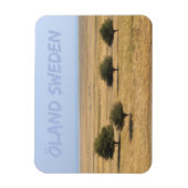 スウェーデン、オーランド、サバンナの木 マグネット (縦)